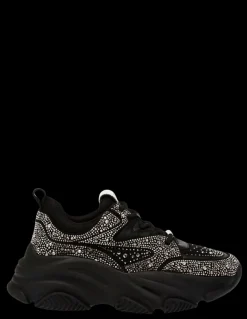 New steve madden Baskets de ville Femme privy sneaker Black