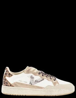 victoria Baskets de Ville Femme smash - animal mix