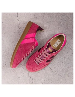 caval Baskets Tendance Femme Pulse Framboise / Fuchsia