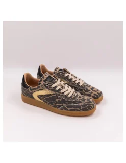 Discount 0-105 Baskets Tendance Femme Nova Léo