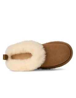 New ugg Boots Femme tazzelle chestnut